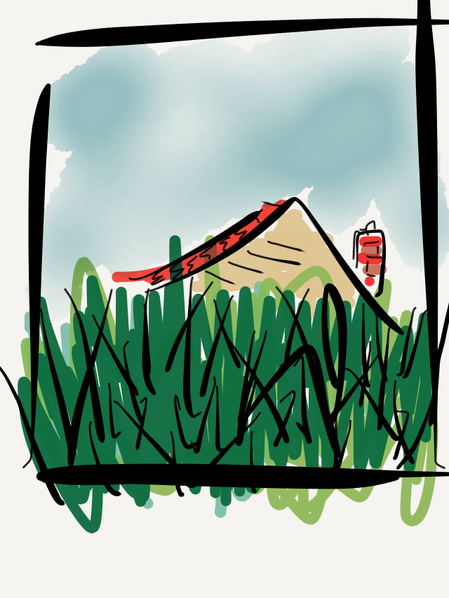 My very high grass